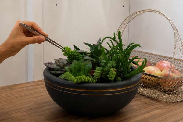 Penny's Gardens and Landscapes - Balcony Transformation