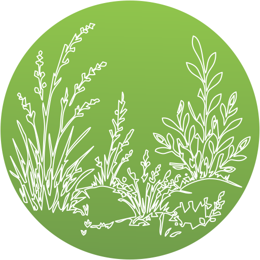 Penny's Gardens and Landscapes: Low-maintenance by default